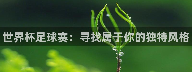 世界杯球赛：世界杯足球赛：寻找属于你的独特风格
