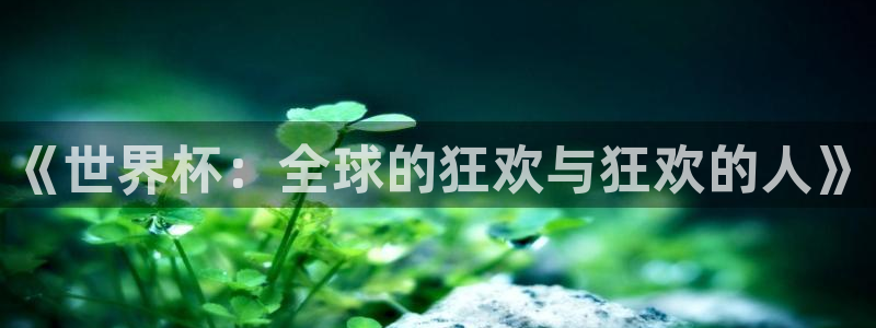 世界杯赛程表2026：《世界杯：全球的狂欢与狂欢的人》