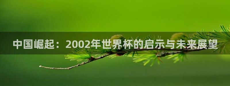 世界杯48支球队赛制：中国崛起：2002年世界杯的启示与未来展望