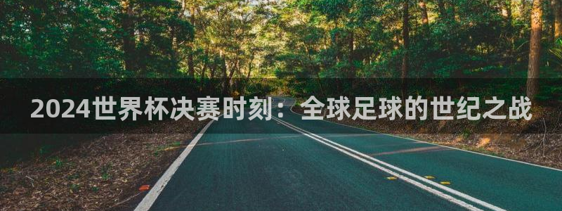 2026世界杯官网：2024世界杯决赛时刻：全球足球的世纪之战