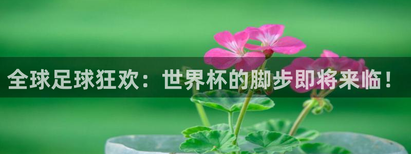 2026世界杯赛程：全球足球狂欢：世界杯的脚步即将来临！