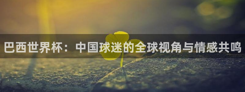 2026世界杯买球：巴西世界杯：中国球迷的全球视角与情感共鸣
