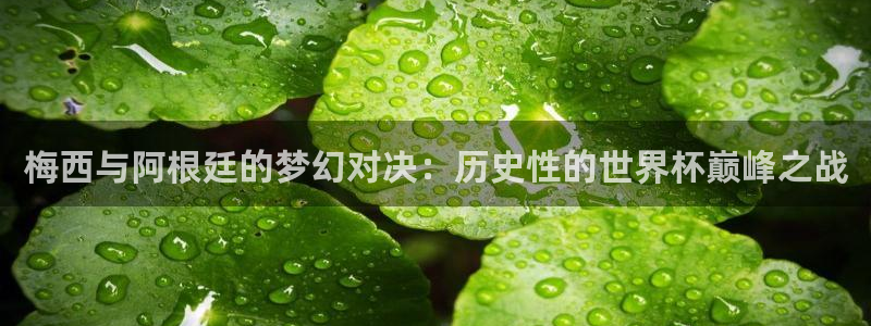 世界杯预选赛赛程：梅西与阿根廷的梦幻对决：历史性的世界杯巅峰之战
