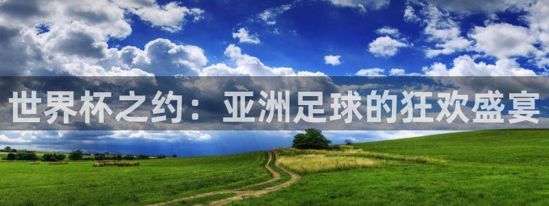 欧联杯直播：世界杯之约：亚洲足球的狂欢盛宴