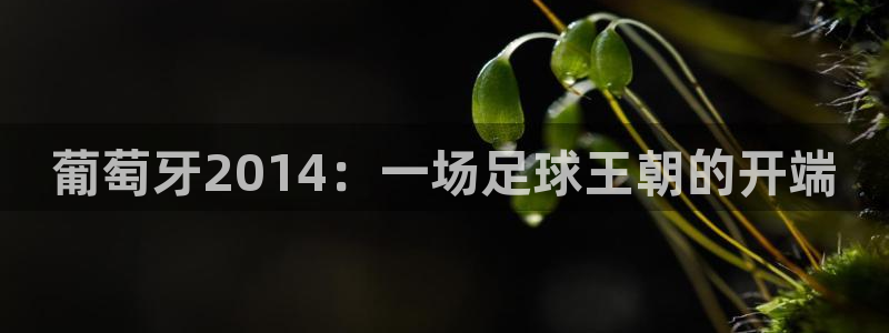 世界杯比赛时间：葡萄牙2014：一场足球王朝的开端