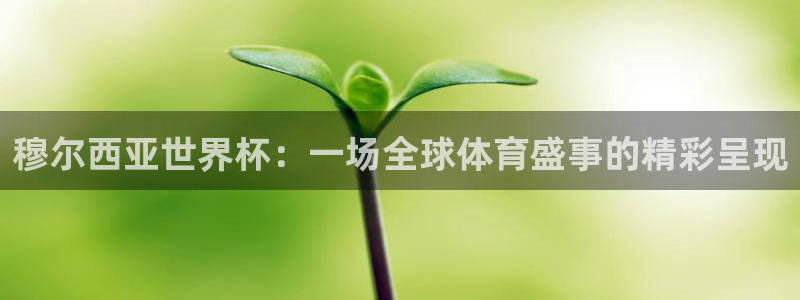 2026世预赛赛程：穆尔西亚世界杯：一场全球体育盛事的精彩呈现