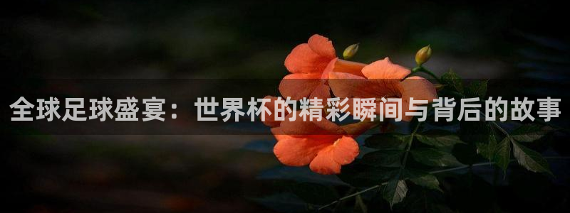 世界杯转播表：全球足球盛宴：世界杯的精彩瞬间与背后的故事