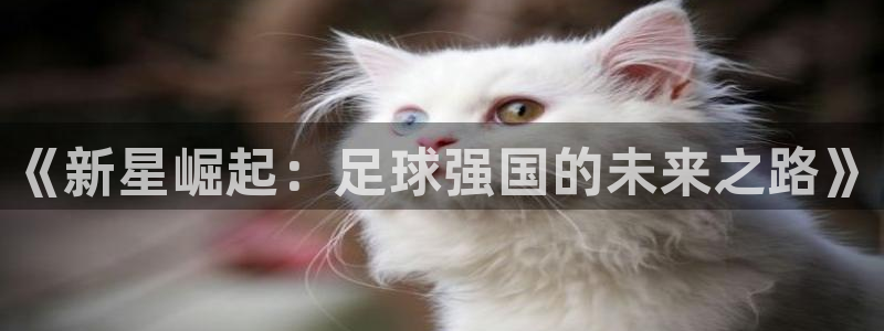 世界杯附加赛赛程表：《新星崛起：足球强国的未来之路》