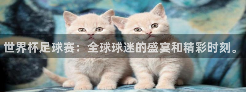 世界杯欧洲区世预赛赛程：世界杯足球赛：全球球迷的盛宴和精彩时刻。